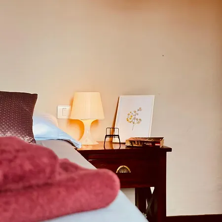Coliving Tenerife -