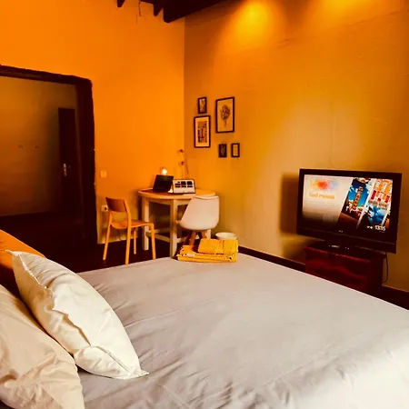 فندق مبيت وإفطار Coliving Tenerife - لا لاغونا