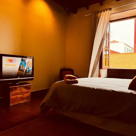 Coliving Tenerife - فندق مبيت وإفطار لا لاغونا